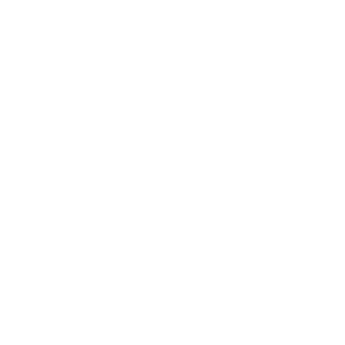 Lien Instagram
